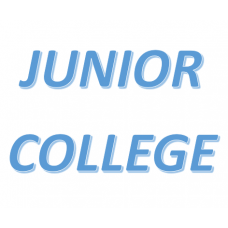  Jr College Standard (CBSE Board) (10)