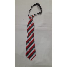 Tie 1st to 4th Standard - IGCSE